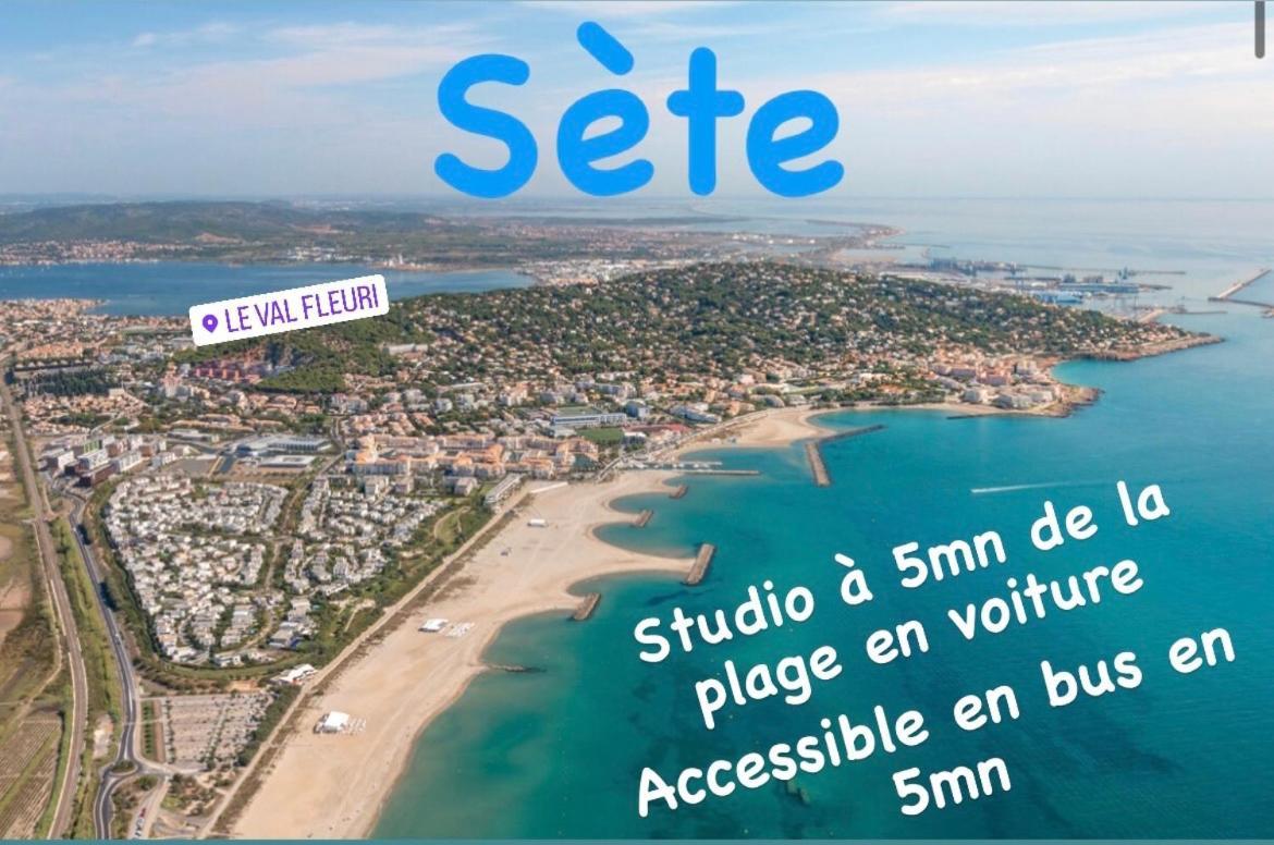 Magnifique Studio A Sete Proche Des Plages Exterior photo